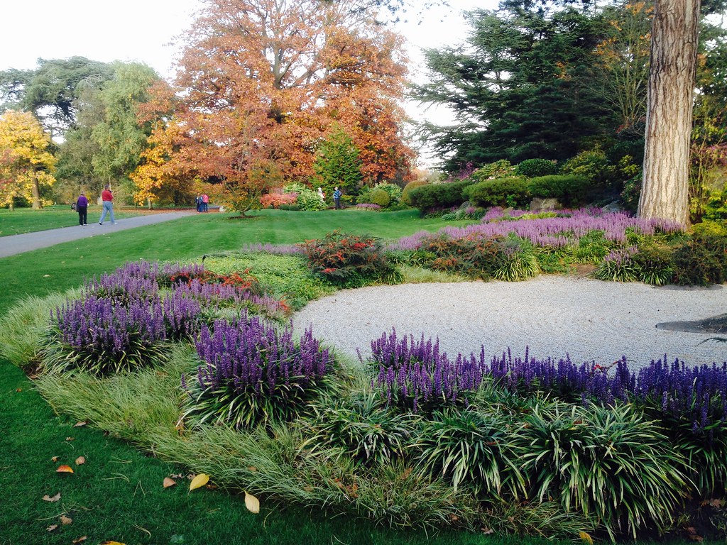 Garden outdoor space with plants and natural landscaping creating a peaceful environment